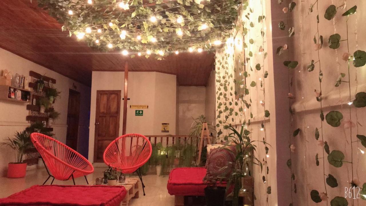 Hospedaje Casa Rosa Jardín Eksteriør bilde
